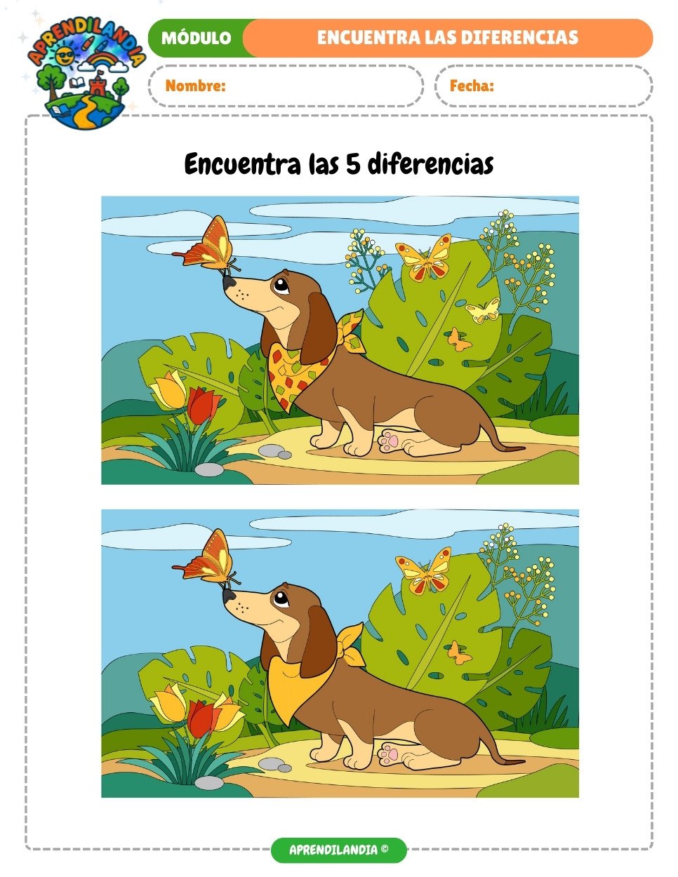 Interior Diferencias